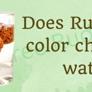 New Home 140 Does Rudraksha color change in water
