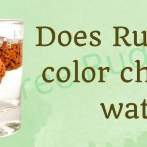 Does Rudraksha color change in water