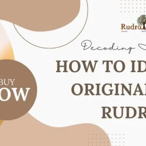 How to Identify the Original 1-Mukhi Rudraksh