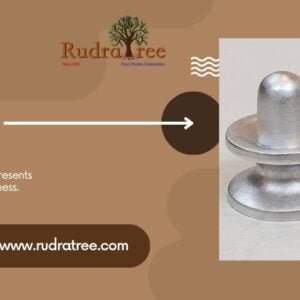 New Home 142 Mercury Lingam
