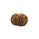 11 mukhi Super collector (3)