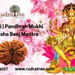 15 Mukhi Beej Mantra