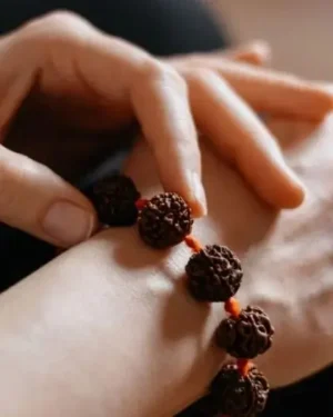 Rudraksha for Rasi & Kavach