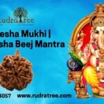 Ganesha Rudraksha Beej Mantra