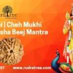 6 Mukhi Beej Mantra