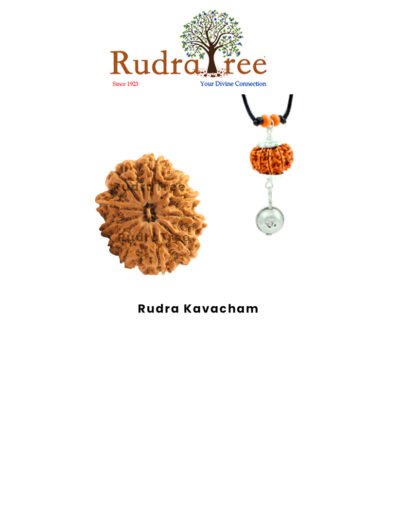 Rudra Kavacham