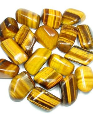 Tiger’s-Eye