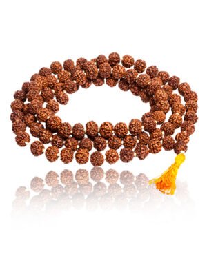 Sahakara Nagar 56 Rudraksha mala