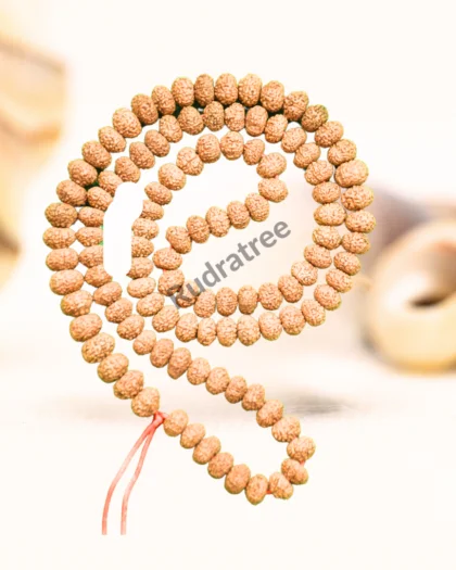 10 Mukhi Rudraksha Mala