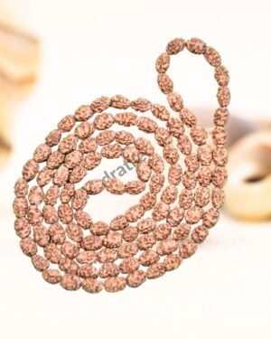 2 Mukhi Rudraksha Mala