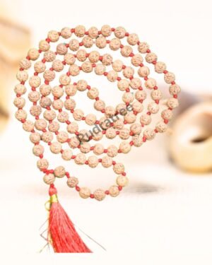 6 Mukhi Rudraksha Mala