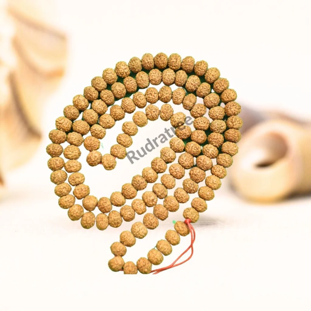 7 Mukhi Rudraksha Mala