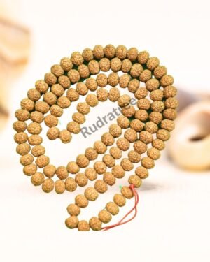 7 Mukhi Rudraksha Mala