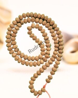 9 Mukhi Rudraksha Mala