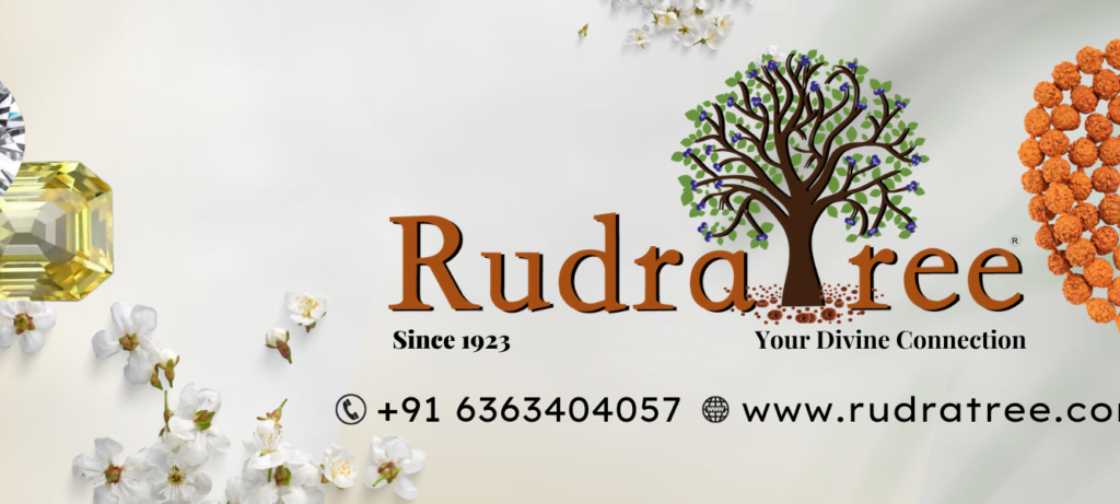 Rudraksha in Bangalore