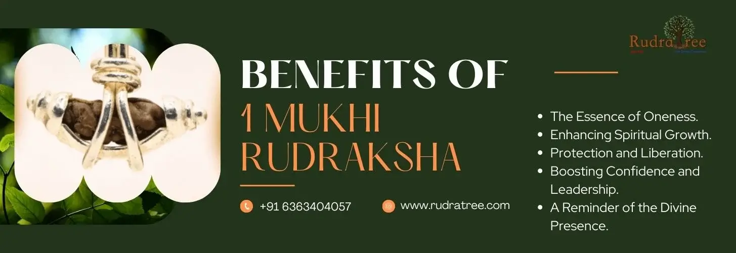 Benefits-of-1-mukhi-rudraksha