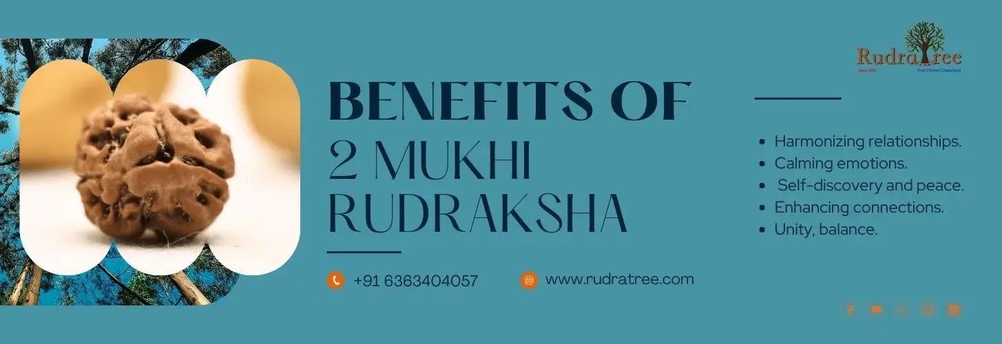 Benefits-of-2-mukhi-rudraksha