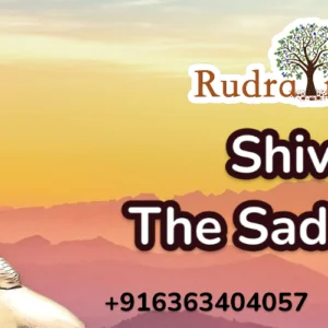 New Home 141 Shiva-The Sadhguru