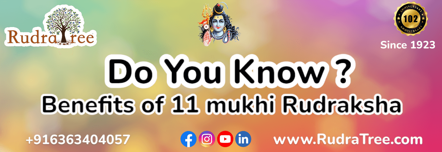 Benefits of 11 Mukhi Rudraksha 