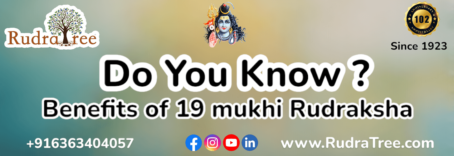 Benefits of 19 Mukhi Rudraksha
