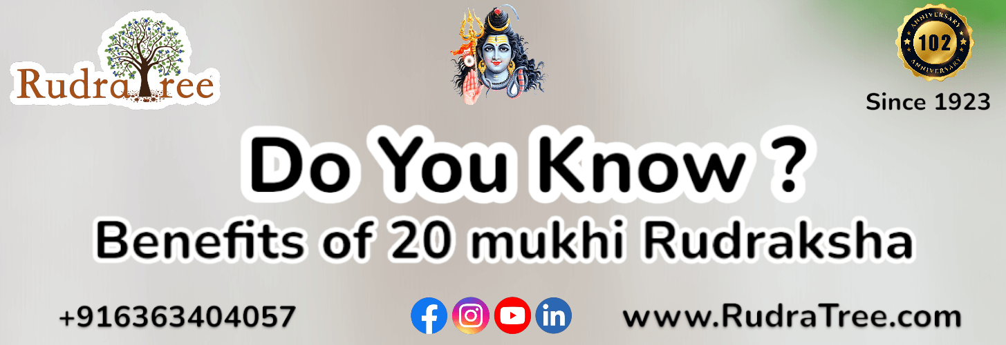 Benefits of 20 Mukhi Rudraksha