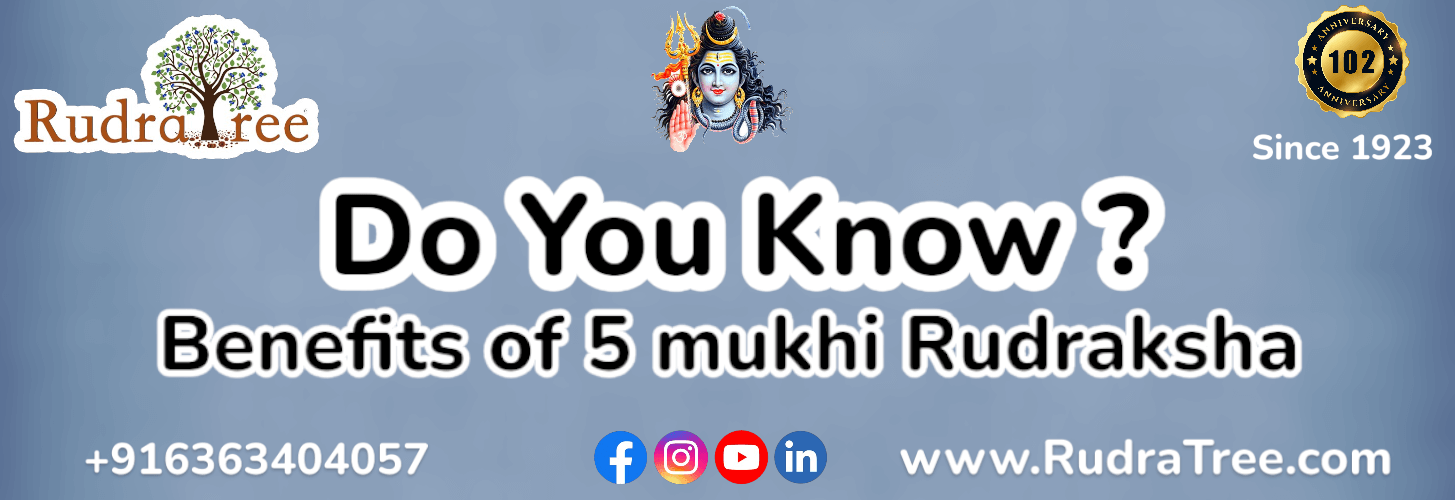 Benefits of 5 mukhi rudraksha