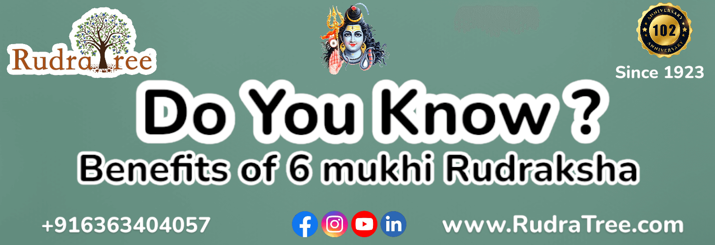 Benefits of 6 mukhi rudraksha