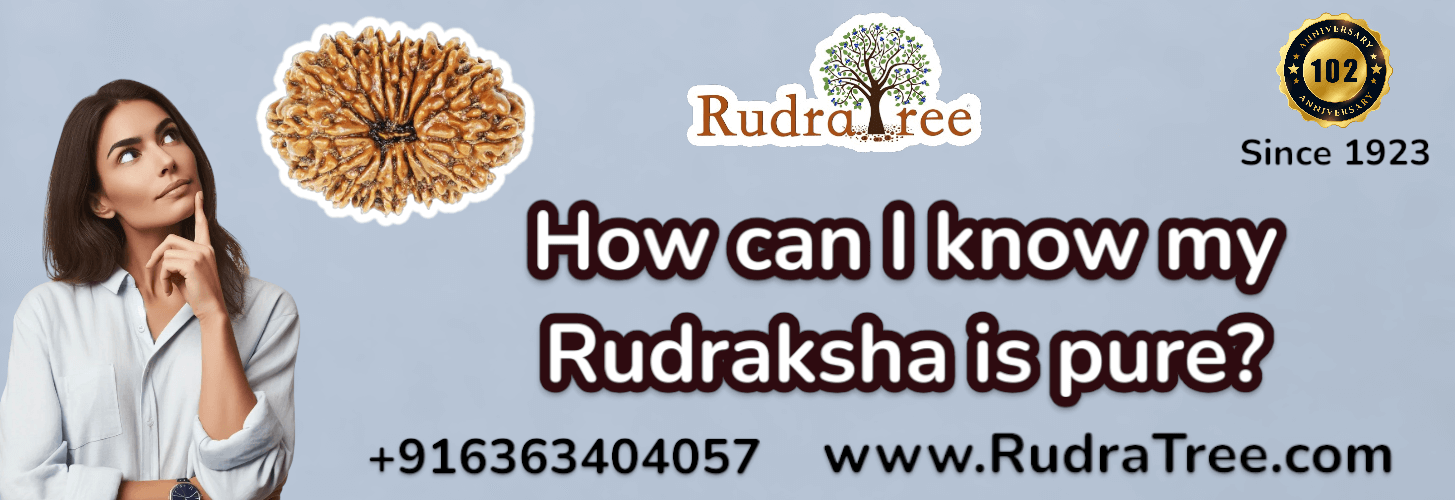 How can I know my Rudraksha is pure 