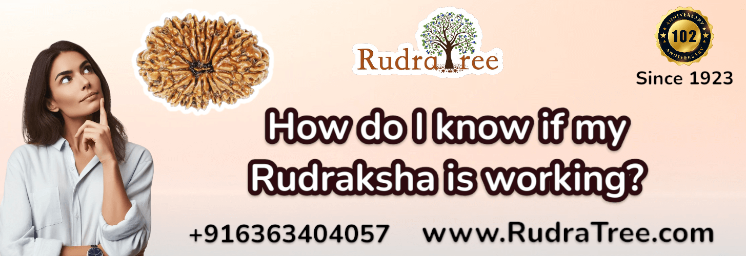 How do I know if my Rudraksha is working 