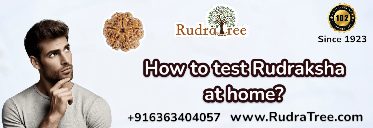 How to test Rudraksha at home 