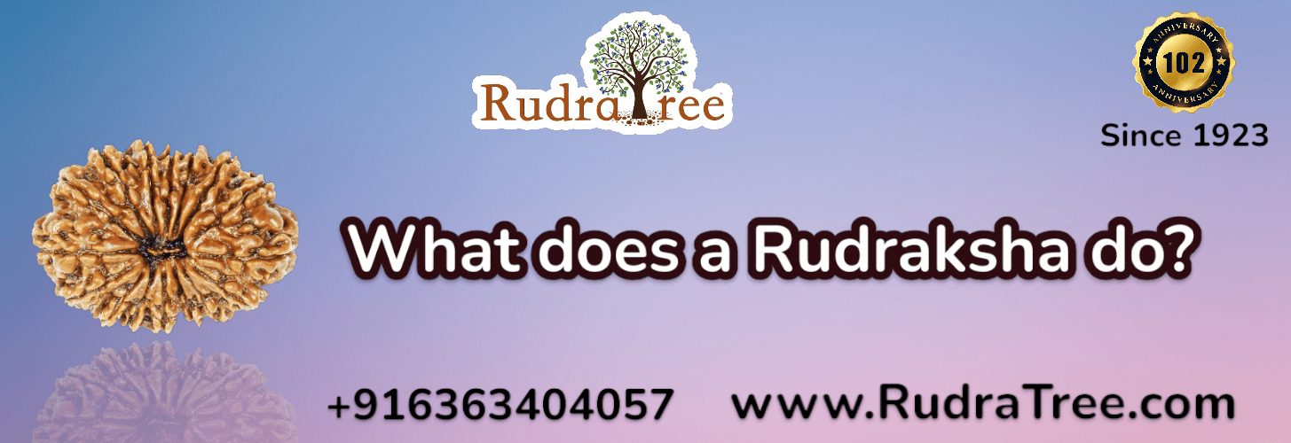What does a Rudraksha do