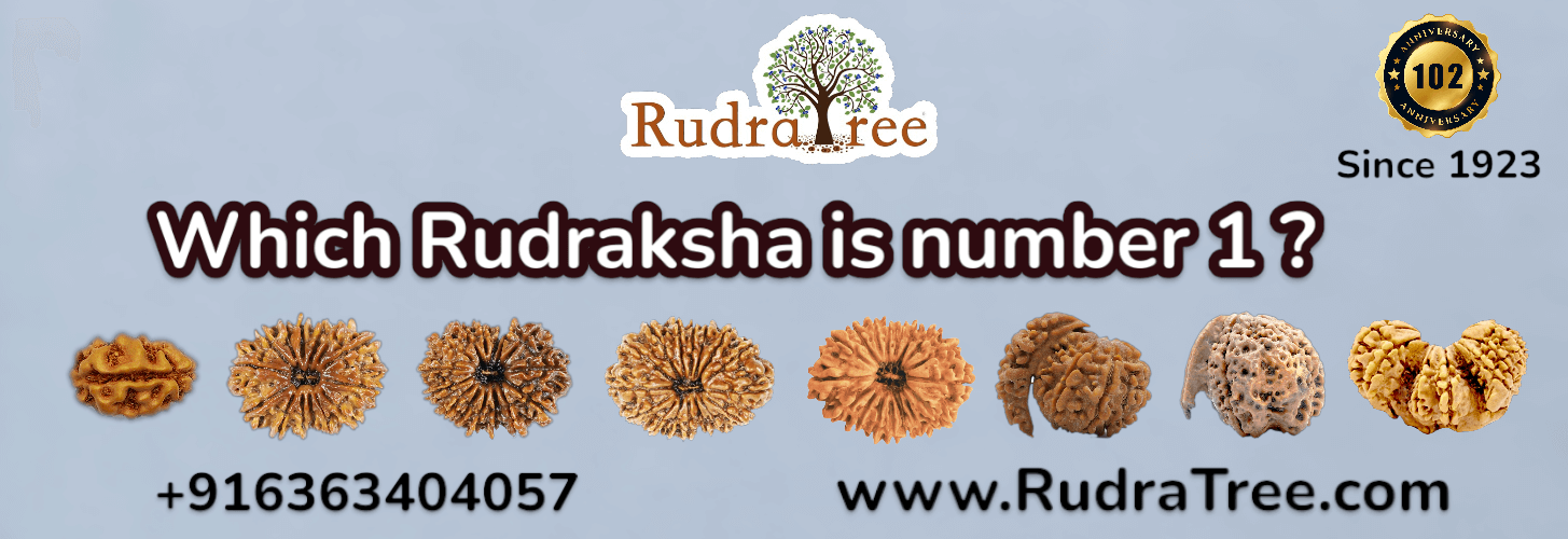 Which Rudraksha is number 1 