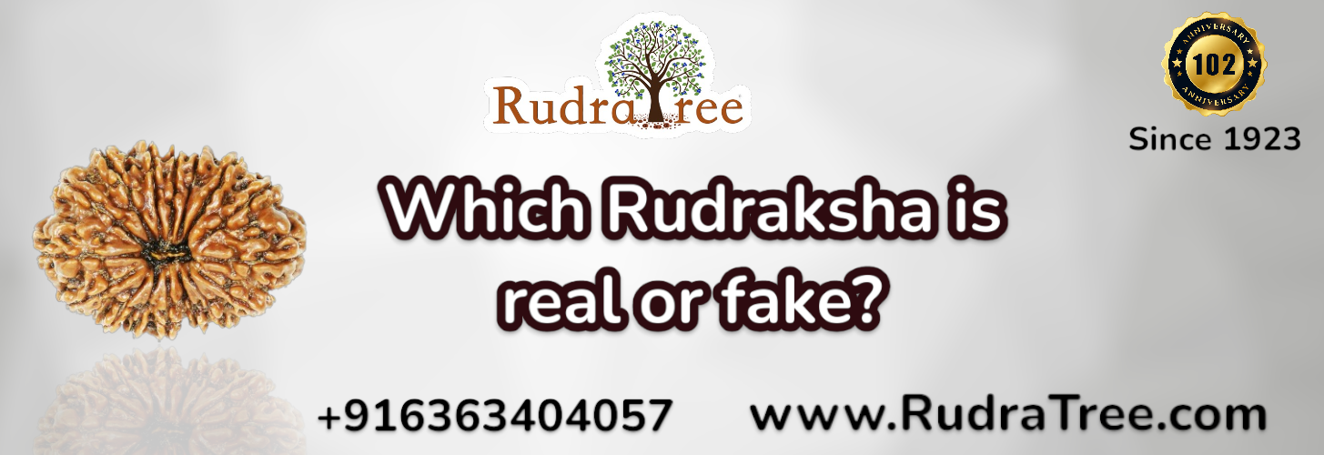 Which Rudraksha is real or fake 