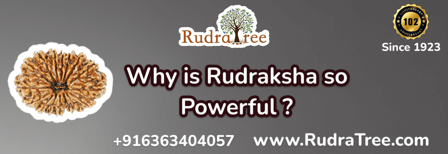 Why Rudraksha is powerful