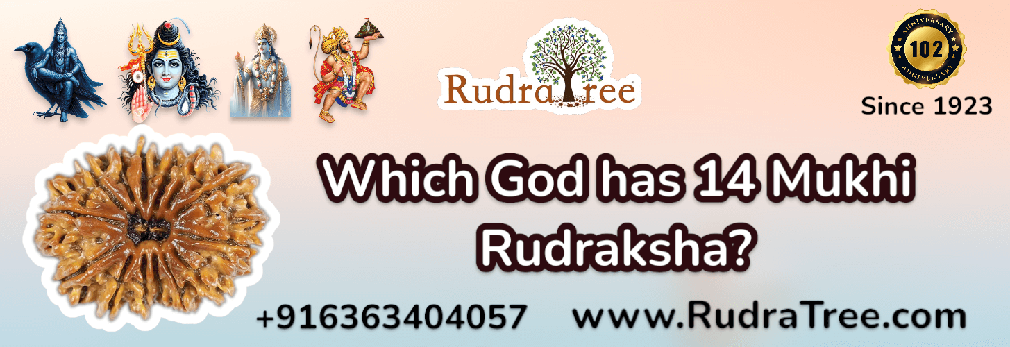 Which God is 14 Mukhi Rudraksha 