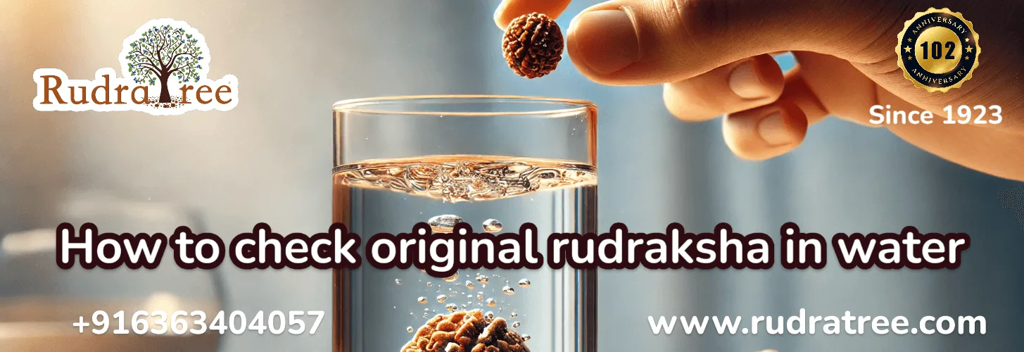 How to check original rudraksha in water