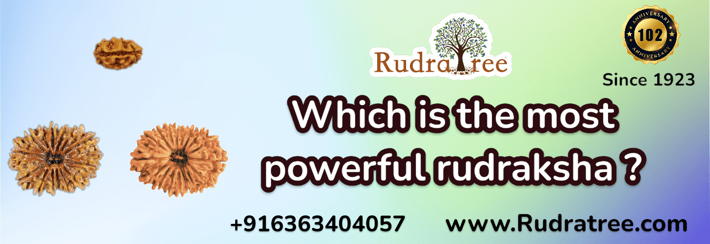 Which is the most powerful rudraksha