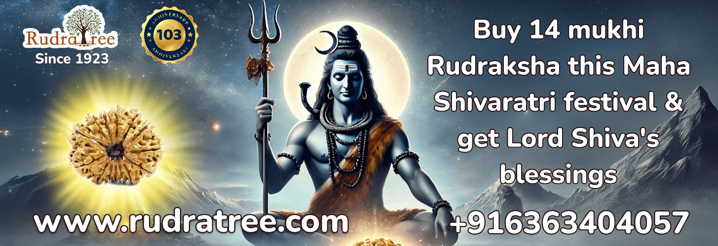 Buy 14 mukhi Rudraksha this Maha Shivaratri festival & get Lord Shiva's blessings