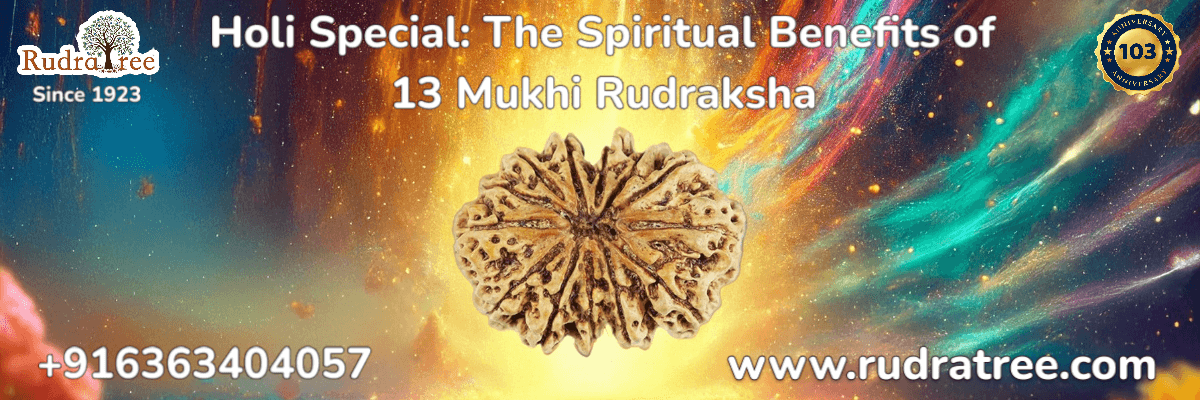 Holi Special_ The Spiritual Benefits of 13 Mukhi Rudraksha