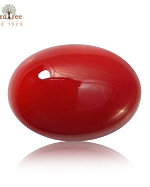 RudraTree Gemstones & Rudraksha 23 coral