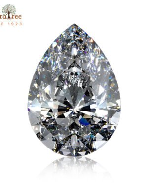 RudraTree Gemstones & Rudraksha 22 diamond