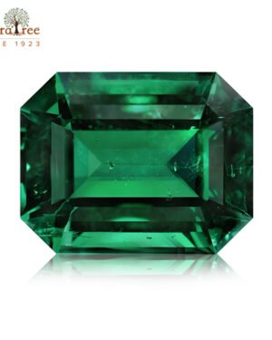 RudraTree Gemstones & Rudraksha 18 emerald