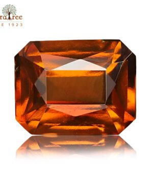 RudraTree Gemstones & Rudraksha 24 hessonite