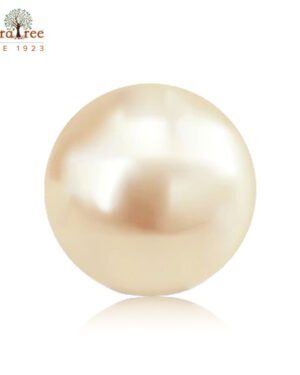 RudraTree Gemstones & Rudraksha 25 pearl