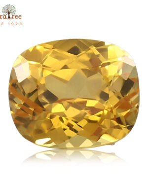 RudraTree Gemstones & Rudraksha 20 yellow sapphire