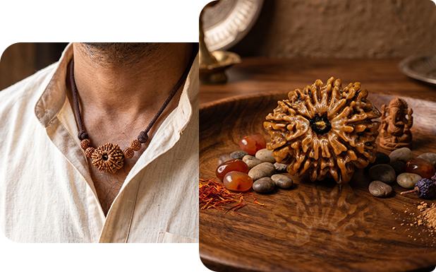 rudraksha image