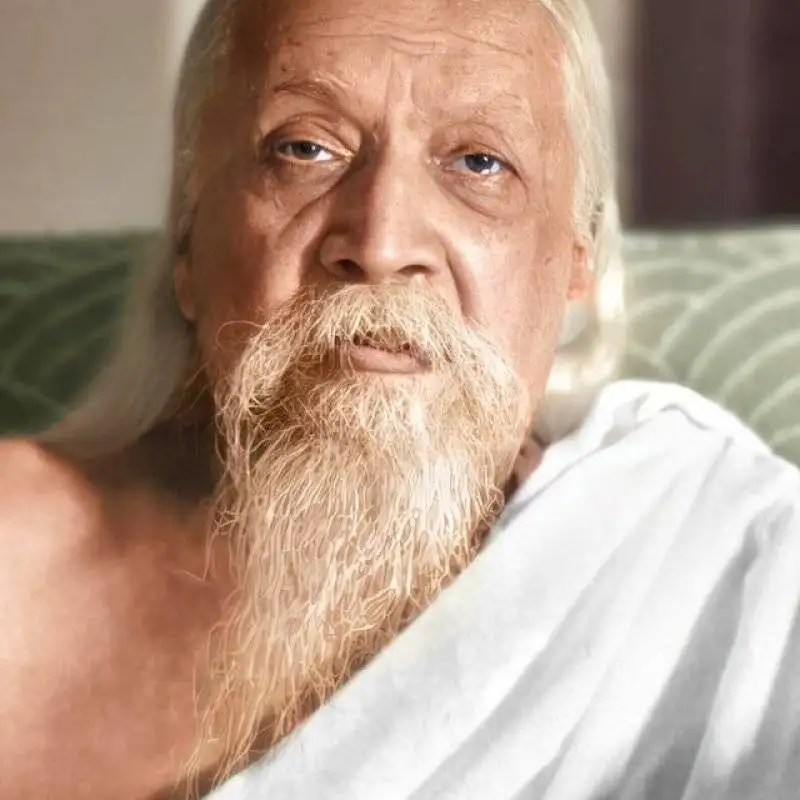 Aurobindo